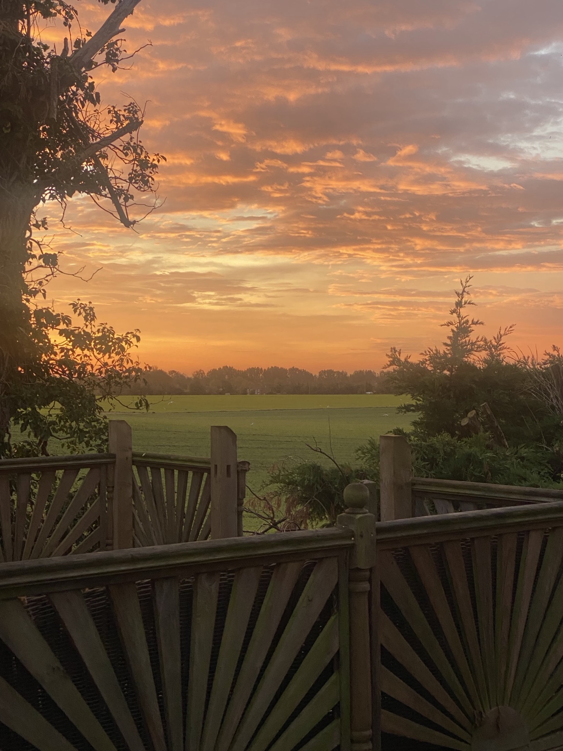 Evening light from the deck