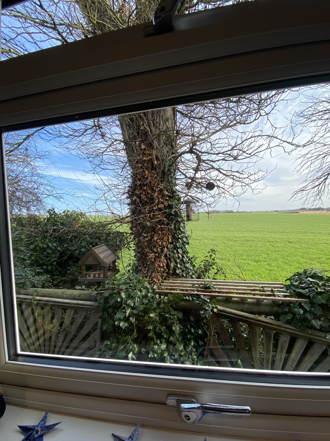 Countryside from the lodge window