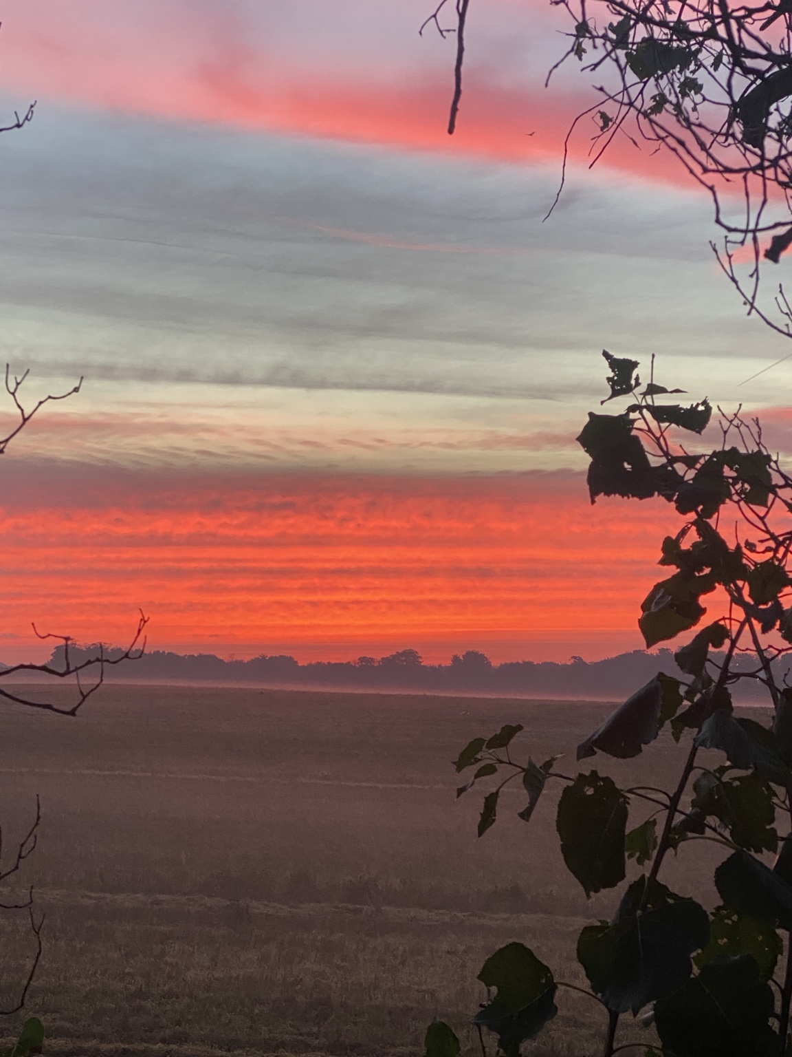 A pink evening sky
