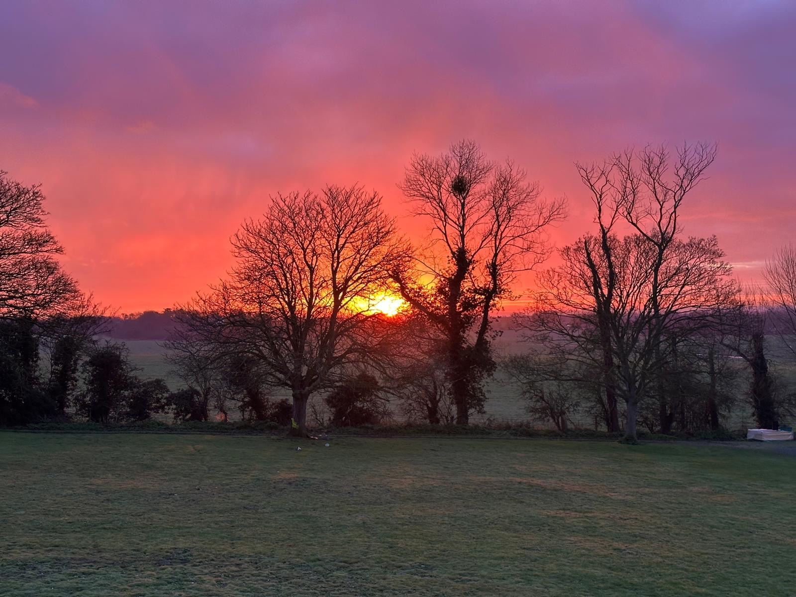 Sunset through the trees